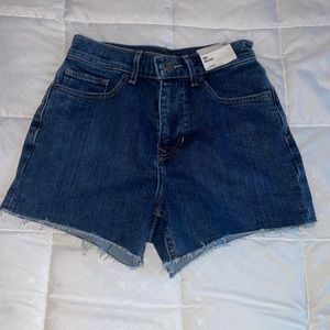 Express Jean Shorts